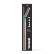Tumbler Straw 2-Pack - Fresh Choice Z1